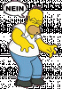 Homer-nein.gif