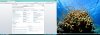MSDN.jpg