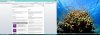 MSDN renew upgrade 1.jpg