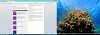 MSDN renew upgrade 2.jpg