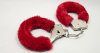 eac994993f0a819c_handcuffs.xxxlarge.jpg