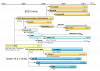 800px-Unix_timeline.en.svg.png