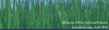 Capture.PNG