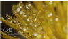 2015-02-04_16-49-02.png