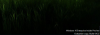 Screenshot_1.png
