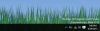 Capture.PNG