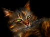 burningcat.jpg