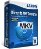 blu-ray-to-mkv-converter.jpg