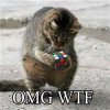 upload_2017-11-4_12-36-56.jpeg
