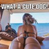 Cute dog.jpg