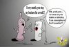 tampo-and-condom-talking_large.jpg