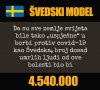 Swedish model for C-19 on word level.jpg