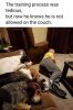 For Ray with dogs.jpg