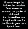 bird seed.jpg