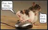mouse.JPG