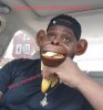 monkeypox.JPG