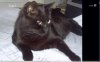 2011-10-08_225126.jpg