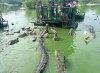 Joke_ 192Crocks.jpg