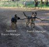Branch_Manager.jpg