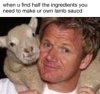 lamb.jpg