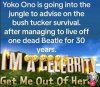 yoko.jpg