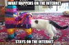 Pinata-Cat-What-Happens-On-The-Internet-Stays-On-The-Internet.jpg