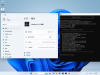 Windows 11 21-2025-06-08-17-29-22.png