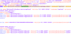 KB5062597_shell32_server.png