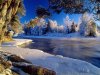 Winter-Wallpapers-.jpg