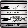 organise do not panic.jpg