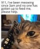 533952267_24971785949089378_1038373309092067465_n.jpg