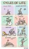 cycles-of-life-2698a740b75.jpg