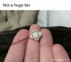 H0L1EBd.jpeg
