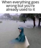 nH0FfQR.png
