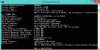 bios info.gif