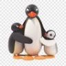 pingu23