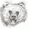 bearhntr