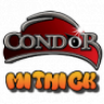 condor.07