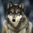 2305steppenwolf