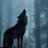 DarkWolf.it